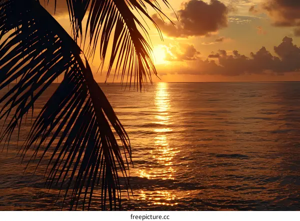 Golden Sunset Over Ocean With Palm Tree Silhouette