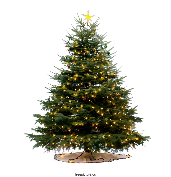 [Transparent Background PNG]Decorated Christmas Tree With Lights And Star On Top