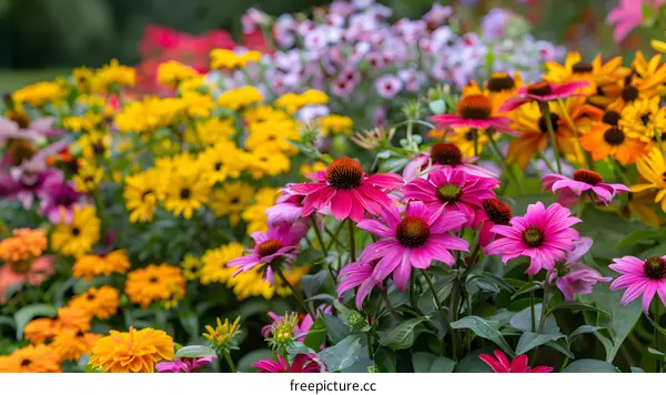 Colorful Flower Garden with Pink Flowers in Bloom