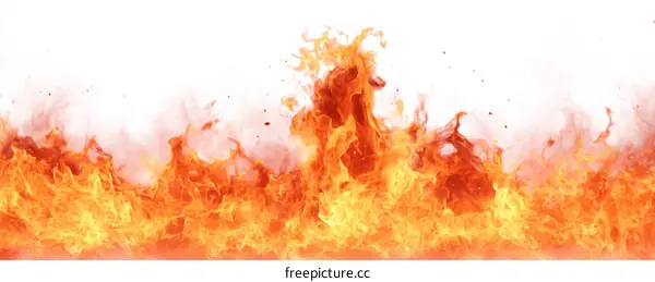 Fiery Flames Against a Pure White Background