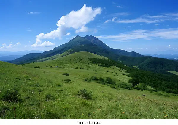 Green Grassland with Mountain Peaks under Blue Sky
