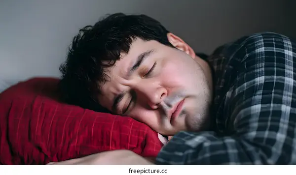 Man Sleeping in Plaid Shirt on Red Pillow