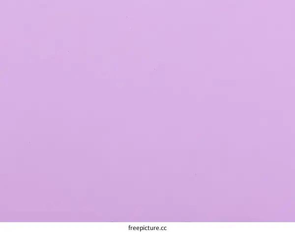Lavender Solid Color Texture Background Image