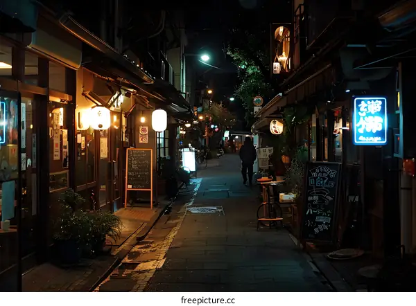 Nighttime Alleyway in Tokyo with Lanterns and a Single Pedestrian