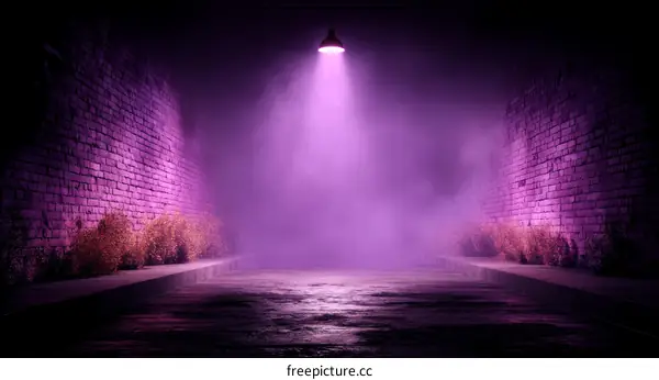 Purple Foggy Alleyway at Night