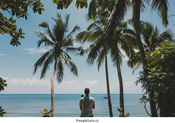 Man Standing Under Palm Trees Looking at the Ocean
