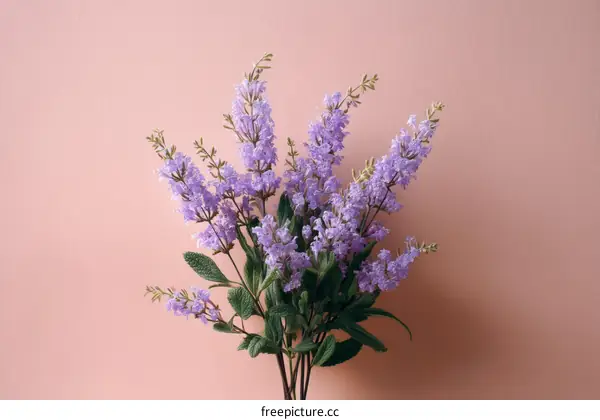 Beautiful Lavender Bouquet on Pastel Pink Background
