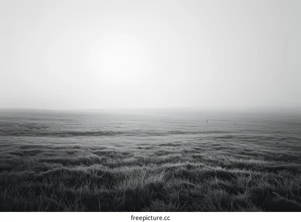 Black and white rural field covered in morning fog