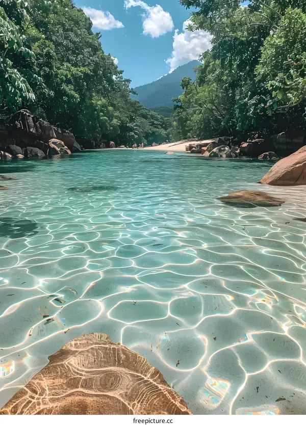 clear water in the jungle