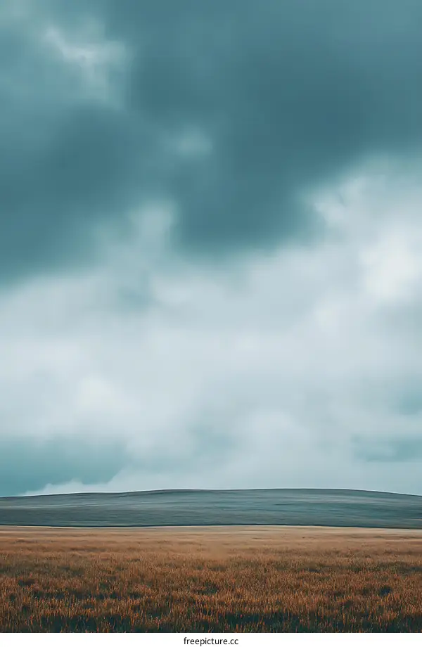 Field Landscape Under a Cloudy Sky