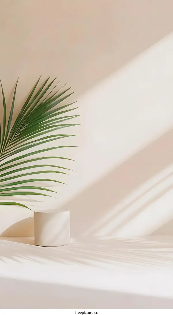 Minimalist Product Display with Palm Leaf and Light