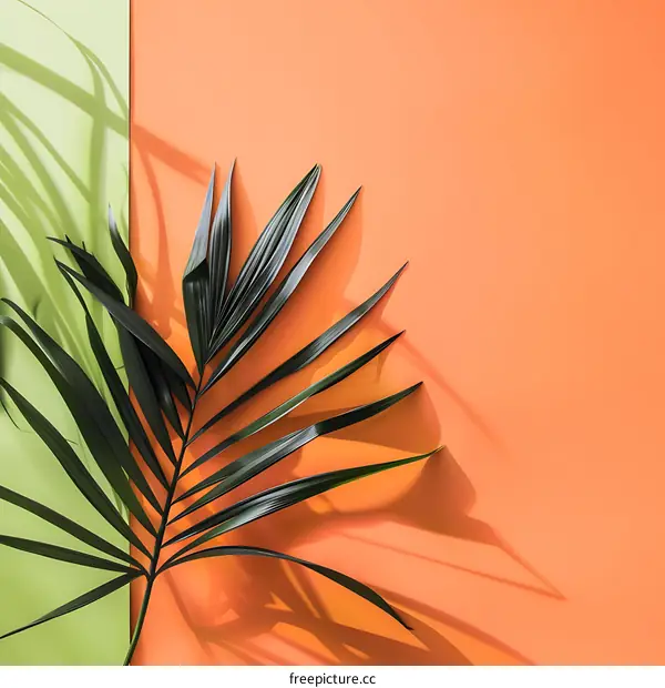 Green Palm Leaf Shadow on Orange and Green Background