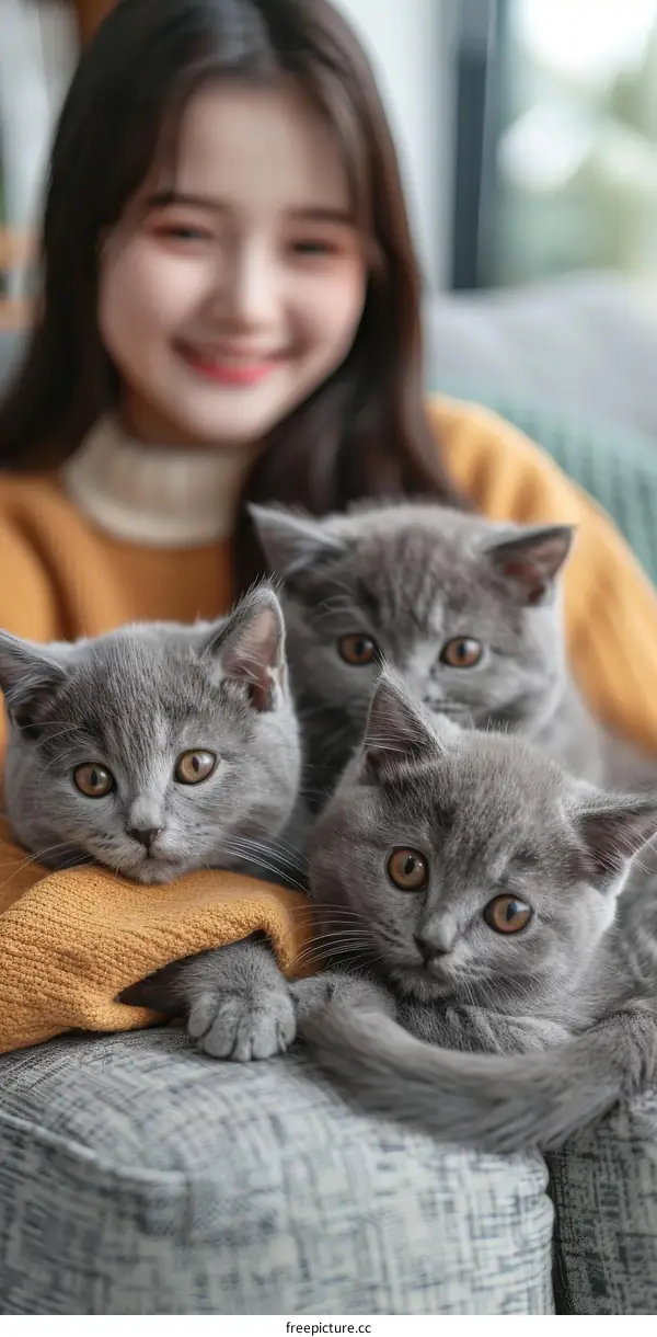 A young woman is sitting on a couch with three gray kittens.