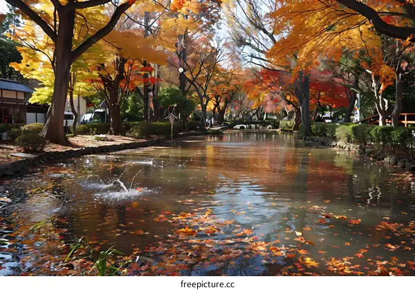 Fallen leaves floating on the water surface of a park pond in autumn