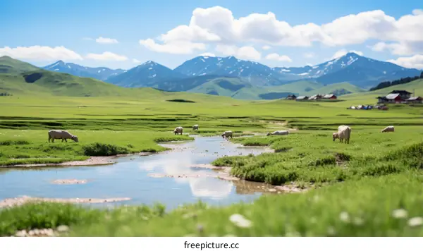 Sheep Grazing on a Lush Green Meadow with Snow-Capped Mountains in the Distance
