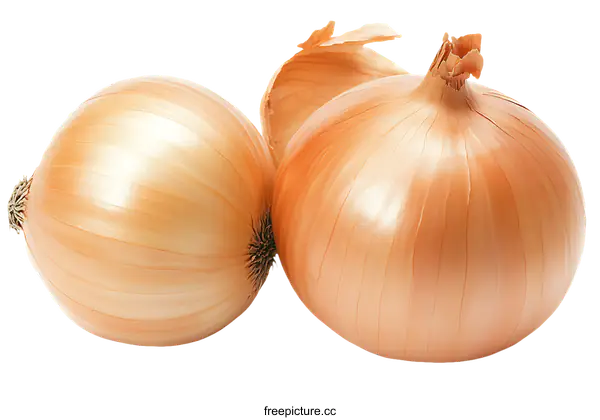 [Transparent Background PNG]Two Fresh Yellow Onions Isolated on White Background