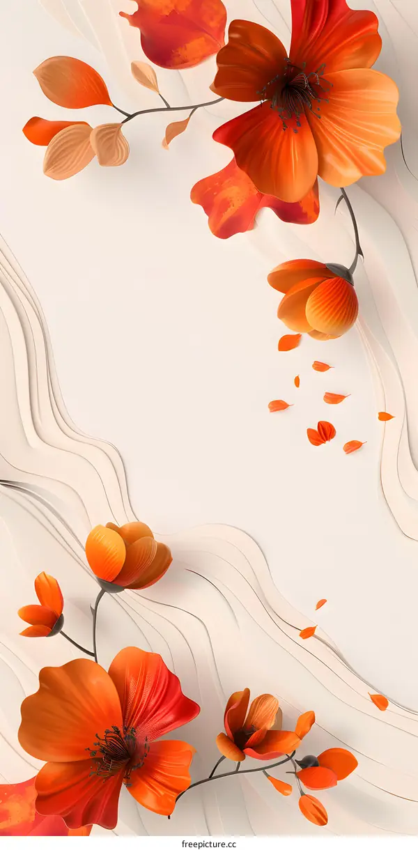 Orange Flower with White Background