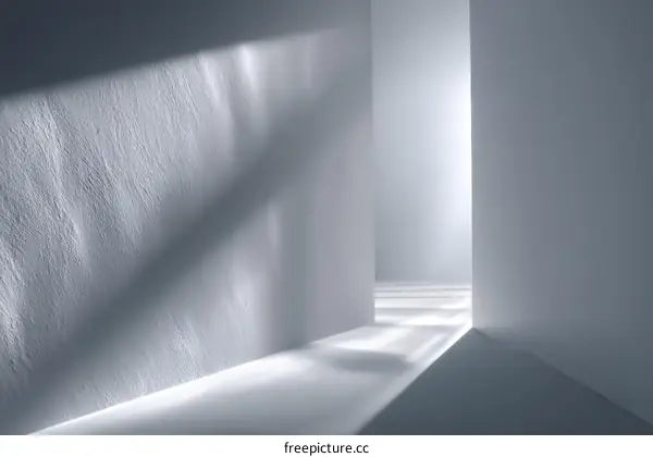 Modern Minimalist Interior Design Showcase