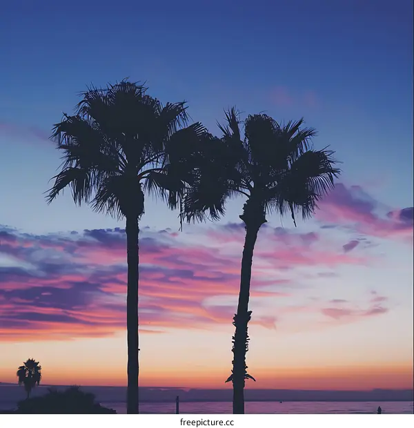Silhouettes of Palm Trees at Sunset