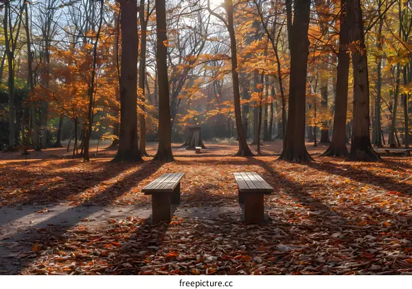 Two benches in an autumn park