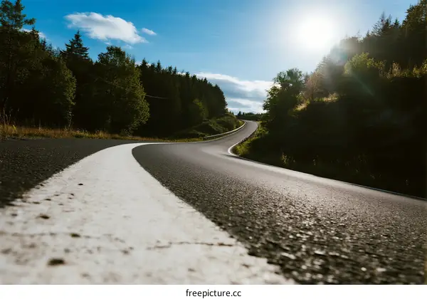 A winding road surrounded by lush green trees under a bright sun