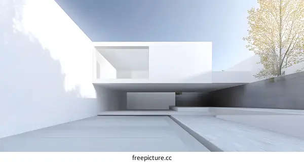 Minimalist Modern House Design With White Walls And A Tree