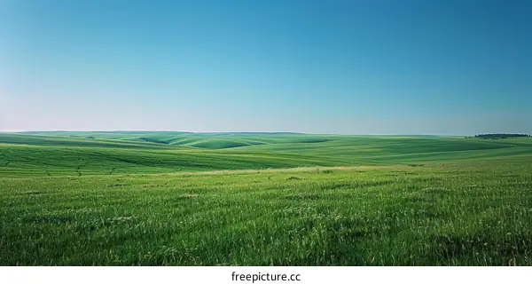 Lush Green Rolling Hills with Blue Sky