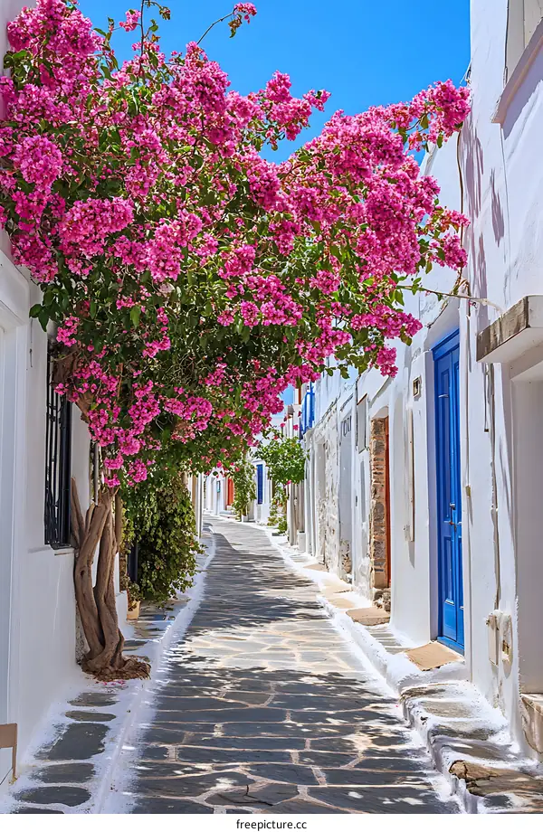 Whitewashed Houses With Pink Flowers in a Greek Village