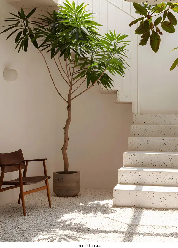 Minimalist Modern Interior Design with Stone Stairs and a Large Plant