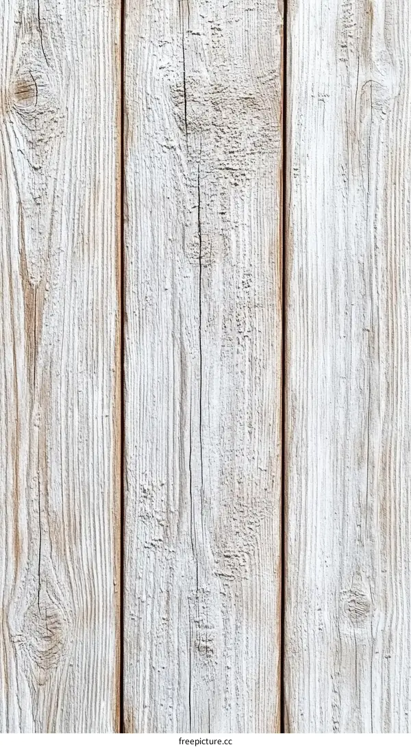 Vintage Whitewashed Wooden Plank Texture