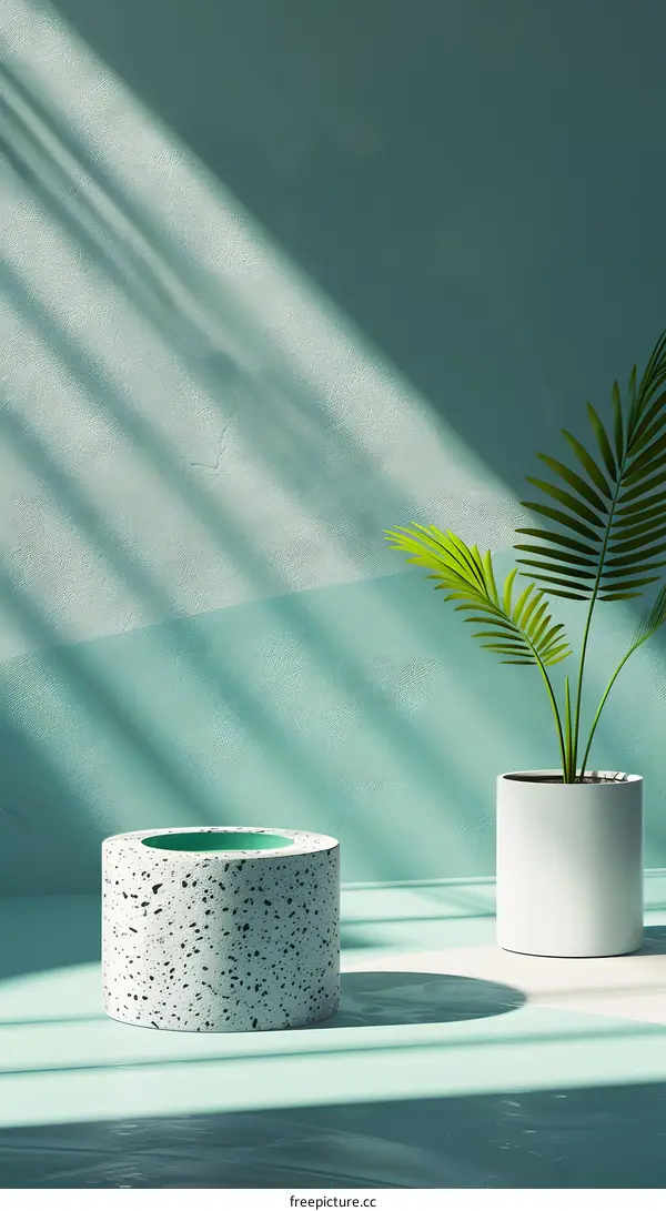 Minimalist Product Display With Green Wall and Palm Leaf