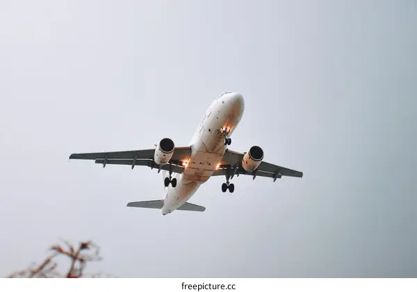 Airplane Landing in Cloudy Sky