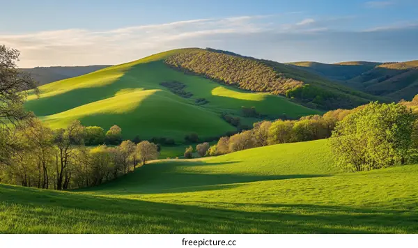 Rolling Hills of Lush Green Fields at Sunrise