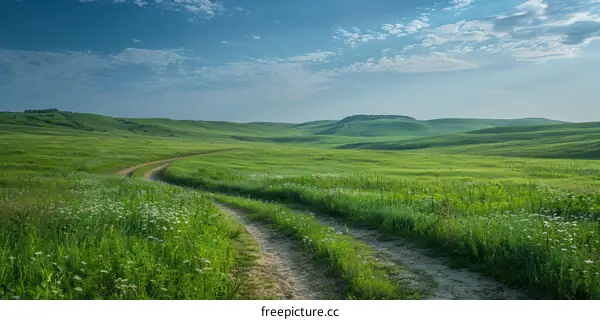 Dirt road through a green hilly field