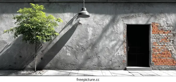 Urban Alleyway with a Small Tree and a Door