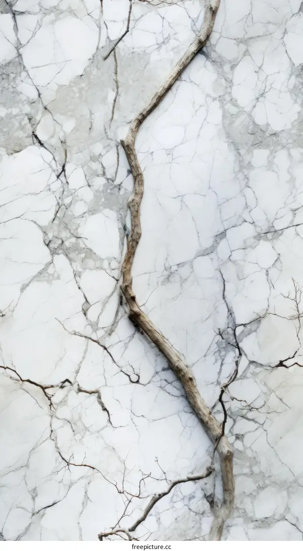 tree branches with marble background