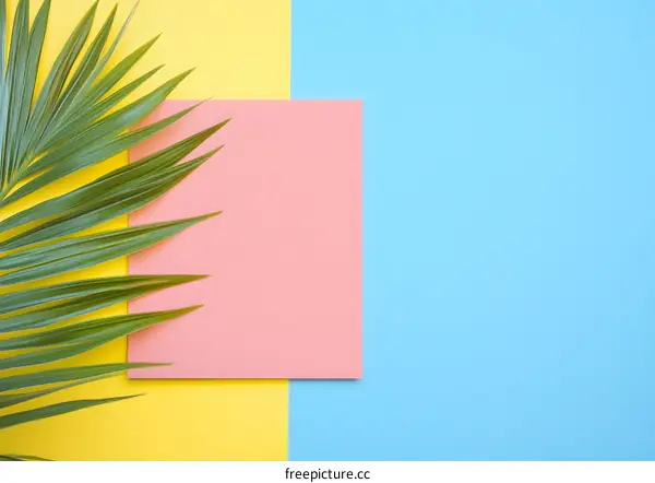 Summer Tropical Palm Leaf on Colorful Background