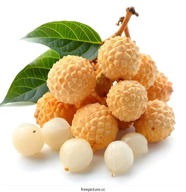 Fresh Longan Fruit with Leaves