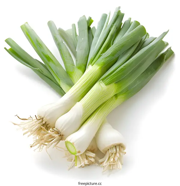 Fresh Green Onions on White Background