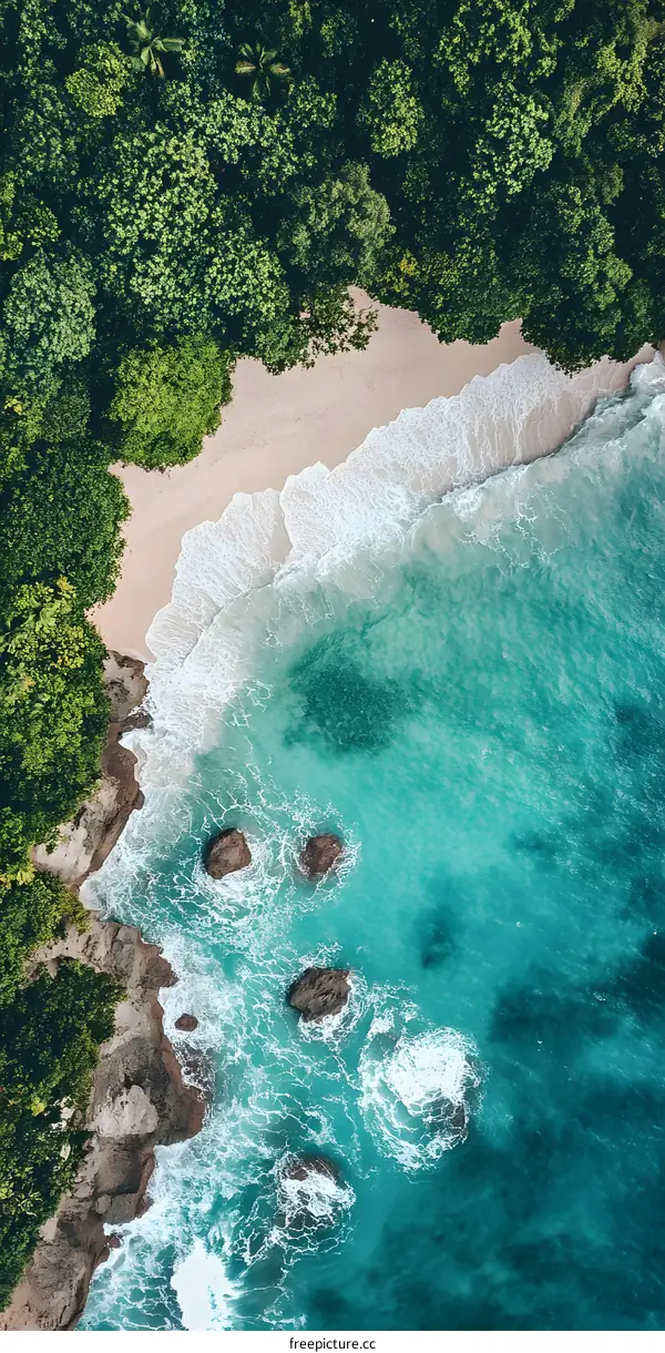 Aerial View of Tropical Beach with Turquoise Water
