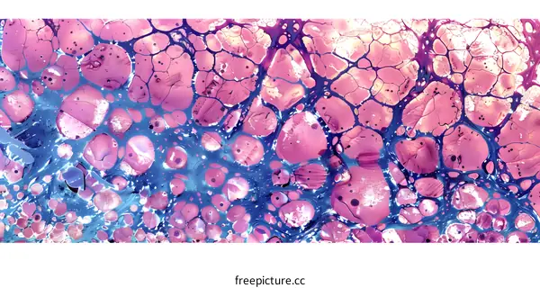 Abstract Blue And Pink Swirls