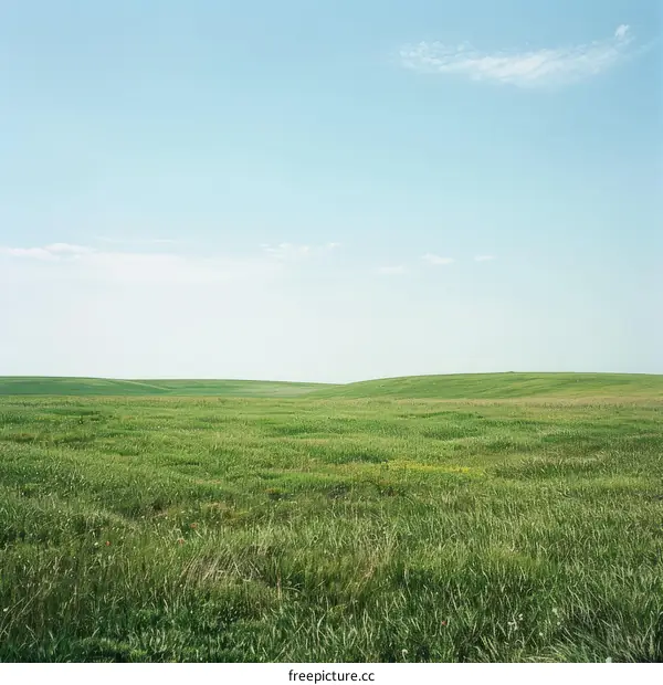 Green rolling hills under blue sky