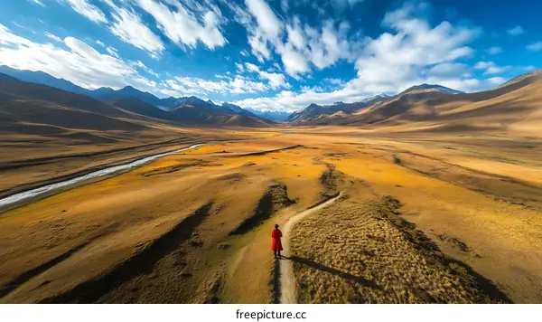 Majestic Mountain Valley with a Traveler