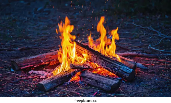 Campfire Flames in the Night