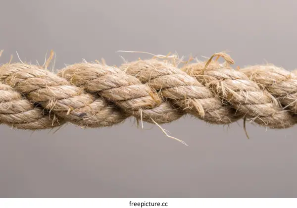 Close up of a fraying rope