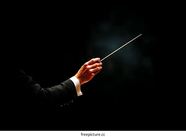 Orchestral Conductor Leading an Orchestra