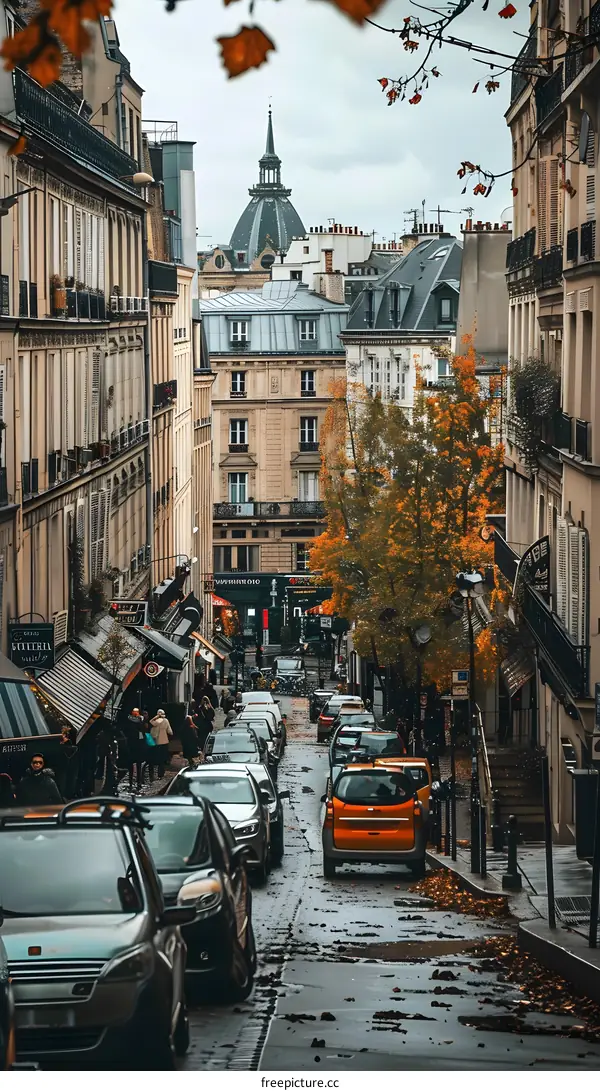 Autumn Street View with Cars and Buildings in Paris