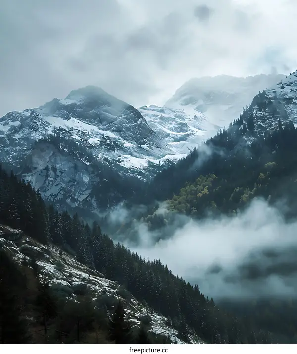 Snowy Mountain Peaks and Foggy Forest