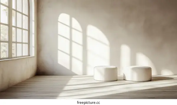 Empty Room with Natural Light and White Display Stands