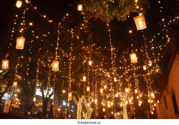 Night Lights In A Tree Canopy